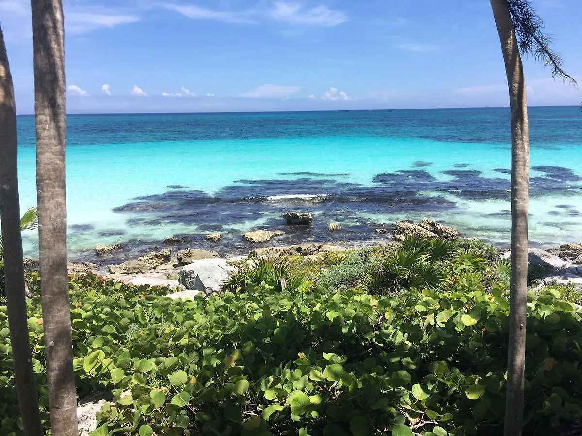 Casa Emily - Oceanfront House In Tulum! Villa