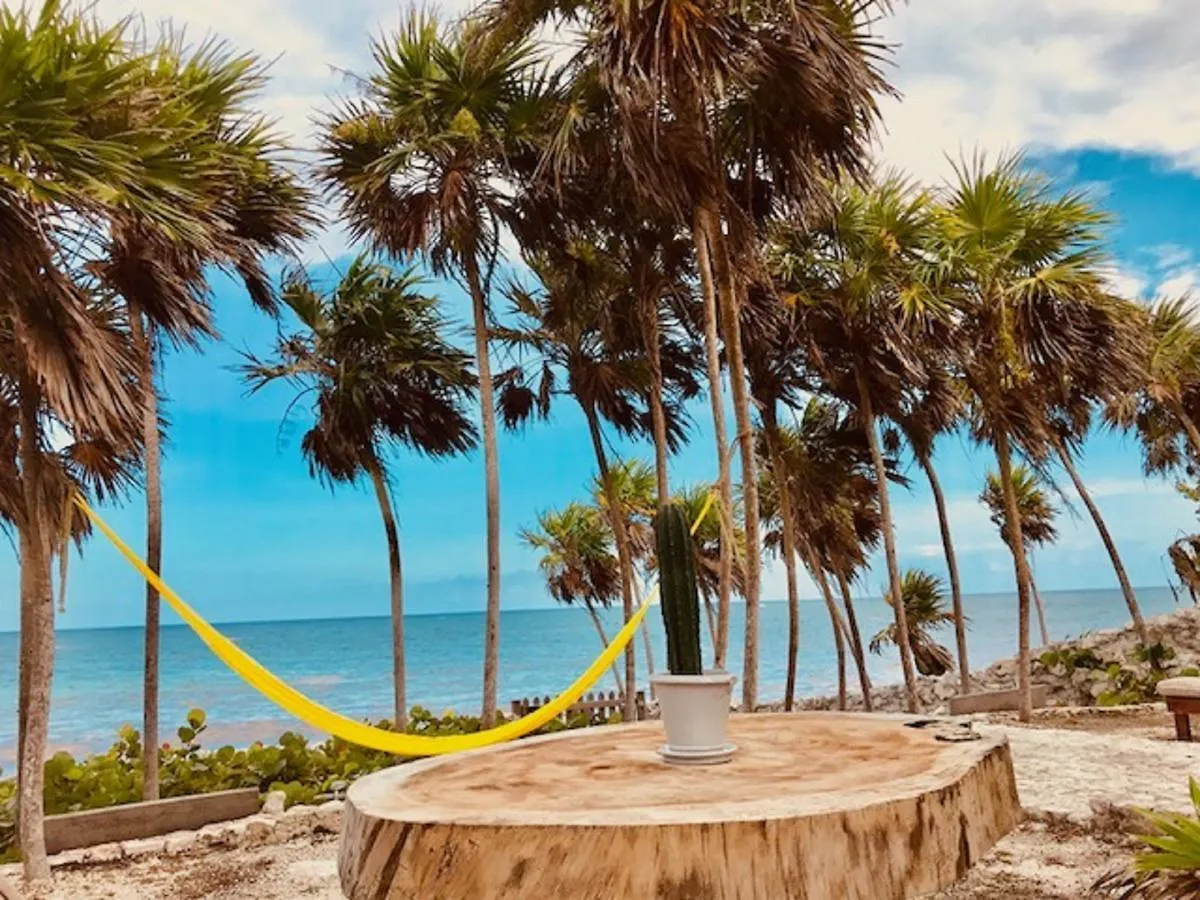 Casa Emily - Oceanfront House In Tulum! Villa 0*, Tulum Mexikó